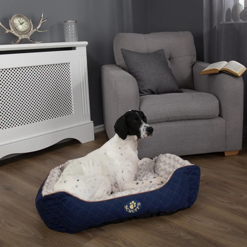 Wilton Box Dog Bed (in Blue, Grey, Black, Brown) by Scruffs - Memoriex