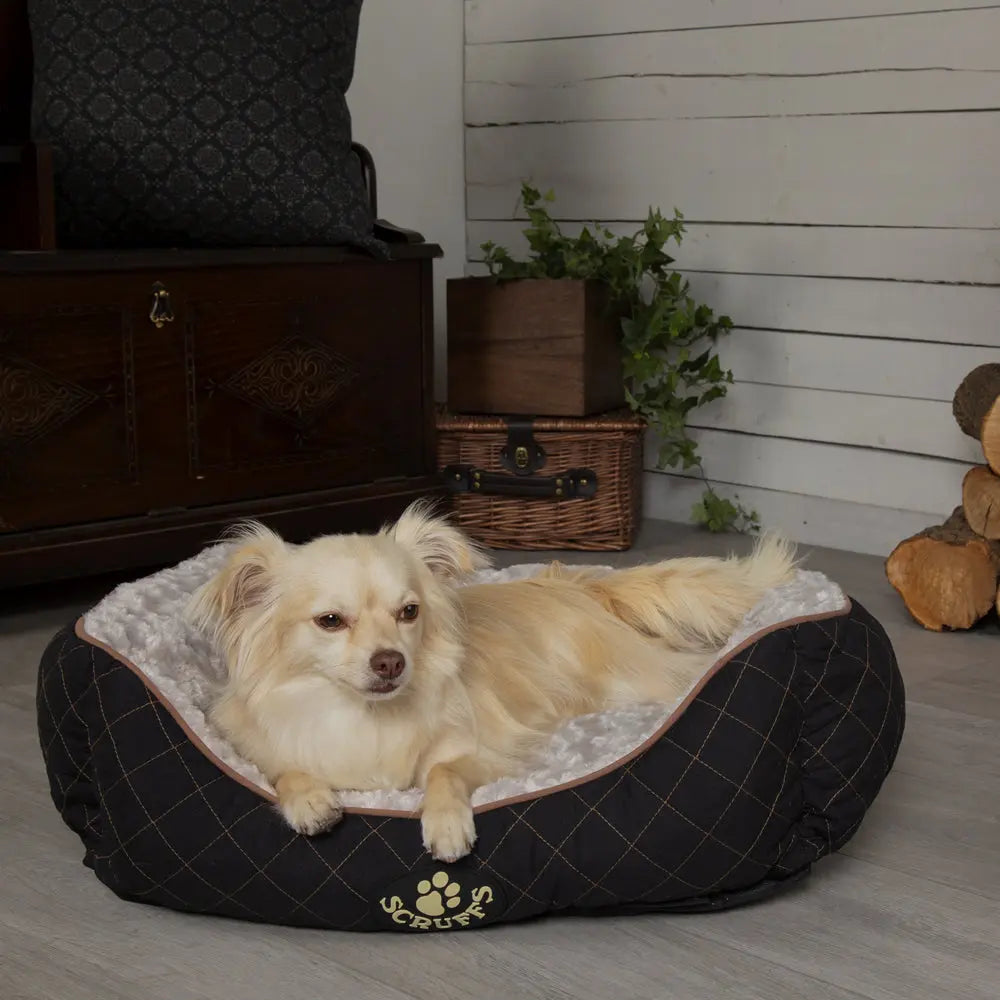 Wilton Box Dog Bed (in Blue, Grey, Black, Brown) by Scruffs - Memoriex