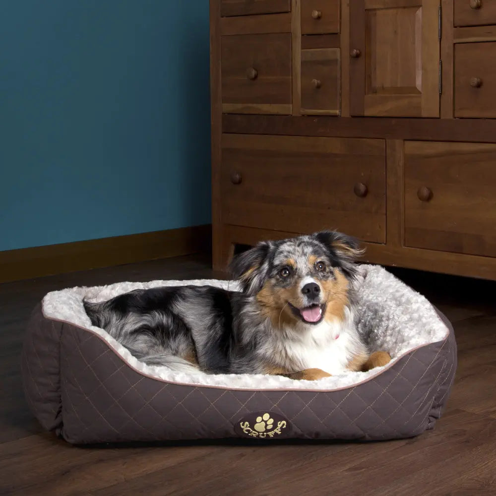 Wilton Box Dog Bed (in Blue, Grey, Black, Brown) by Scruffs - Memoriex