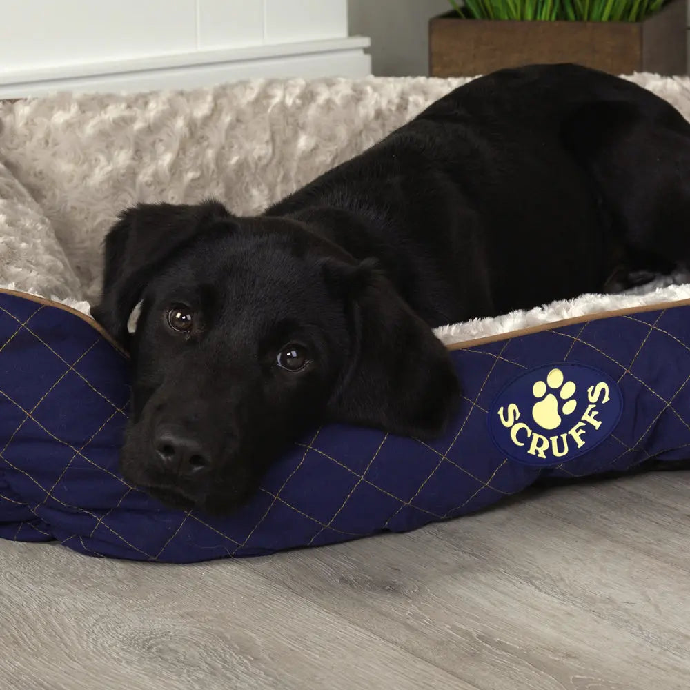 Wilton Box Dog Bed (in Blue, Grey, Black, Brown) by Scruffs - Memoriex