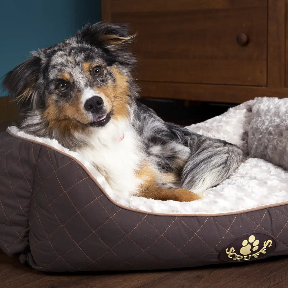 Wilton Box Dog Bed (in Blue, Grey, Black, Brown) by Scruffs - Memoriex