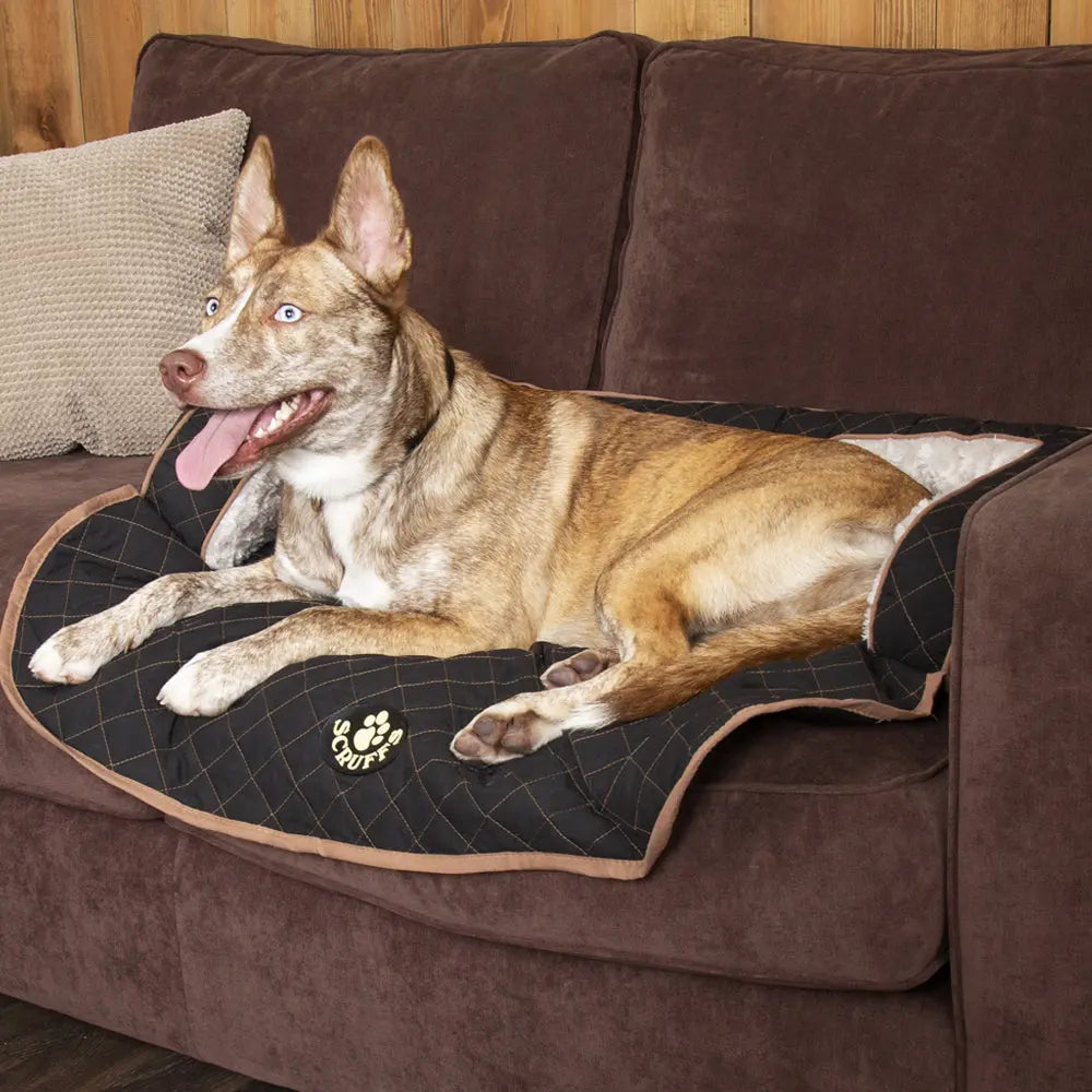 Wilton Sofa Dog Bed (in Blue, Grey, Black, Brown) by Scruffs - Memoriex