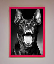 Angry Doberman Dog Framed Wall Art-13