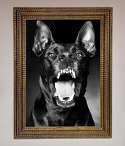 Angry Doberman Dog Framed Wall Art-15
