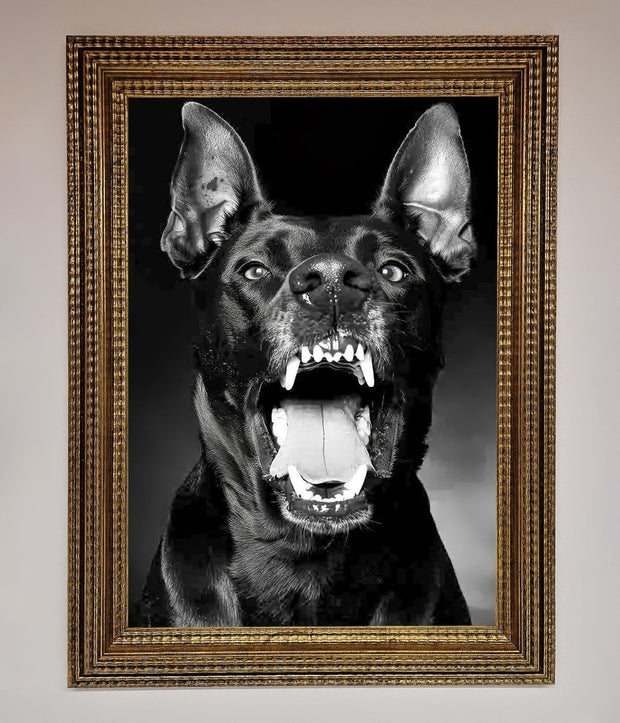 Angry Doberman Dog Framed Wall Art-15