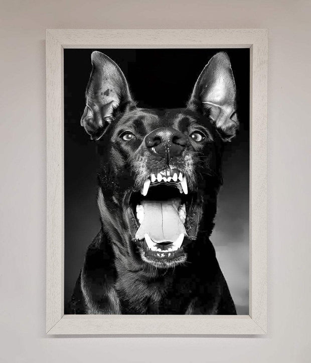 Angry Doberman Dog Framed Wall Art-2