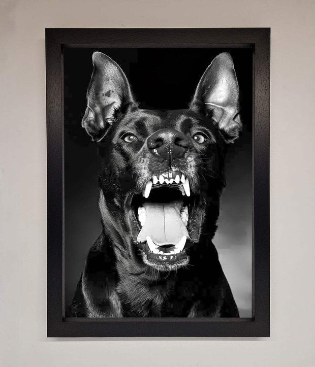 Angry Doberman Dog Framed Wall Art-1
