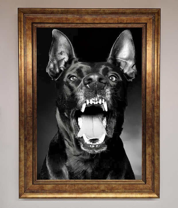 Angry Doberman Dog Framed Wall Art-6