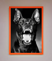 Angry Doberman Dog Framed Wall Art-10