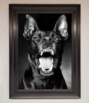 Angry Doberman Dog Framed Wall Art-0