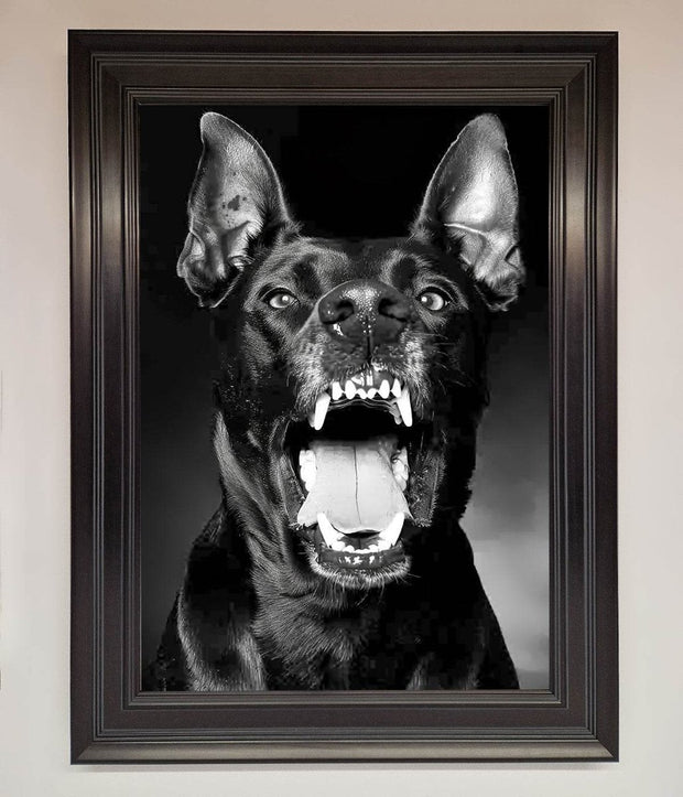 Angry Doberman Dog Framed Wall Art-0