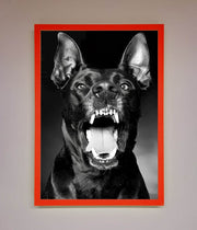 Angry Doberman Dog Framed Wall Art-14