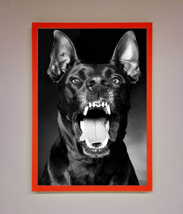 Angry Doberman Dog Framed Wall Art-14