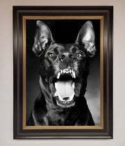 Angry Doberman Dog Framed Wall Art-8