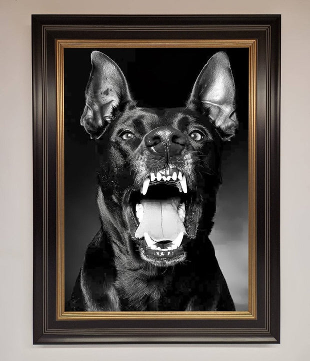Angry Doberman Dog Framed Wall Art-8