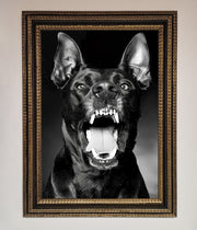 Angry Doberman Dog Framed Wall Art-18