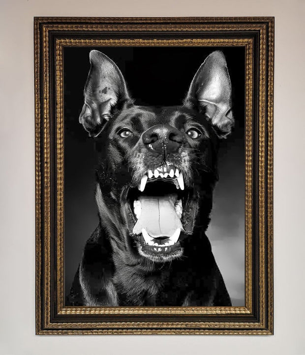 Angry Doberman Dog Framed Wall Art-18