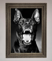 Angry Doberman Dog Framed Wall Art-16