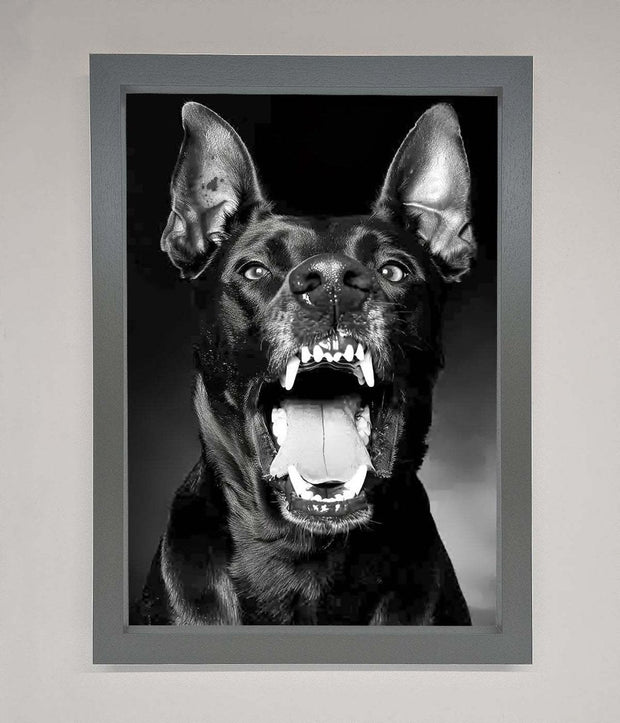 Angry Doberman Dog Framed Wall Art-4