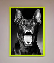 Angry Doberman Dog Framed Wall Art-12