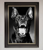 Angry Doberman Dog Framed Wall Art-7