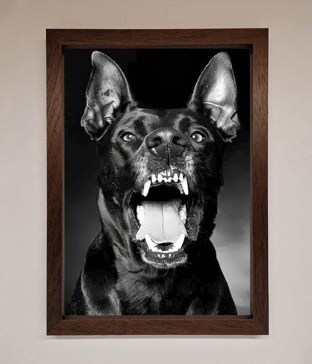 Angry Doberman Dog Framed Wall Art-9