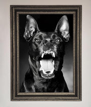 Angry Doberman Dog Framed Wall Art-17