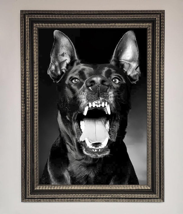 Angry Doberman Dog Framed Wall Art-17