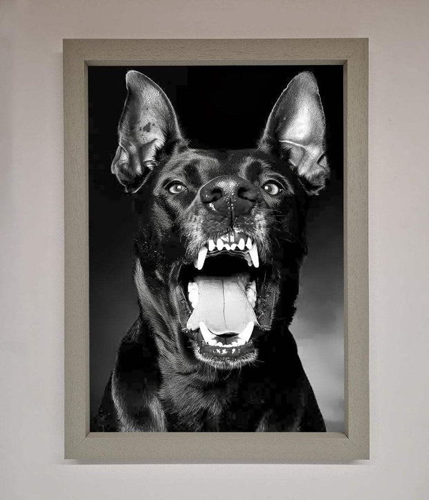 Angry Doberman Dog Framed Wall Art-3