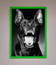 Angry Doberman Dog Framed Wall Art-11