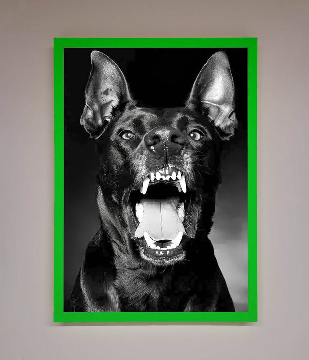Angry Doberman Dog Framed Wall Art-11