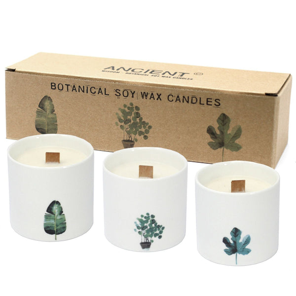 Large Botanical Candles - Victorian Peony-0