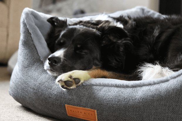 “Balmoral” Herringbone Nest Dog Bed – by Ralph & Co-2