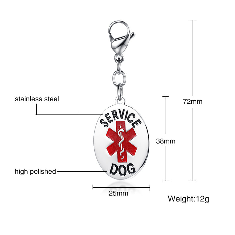 Engraved Stainless Steal Medical Dog Tag-5