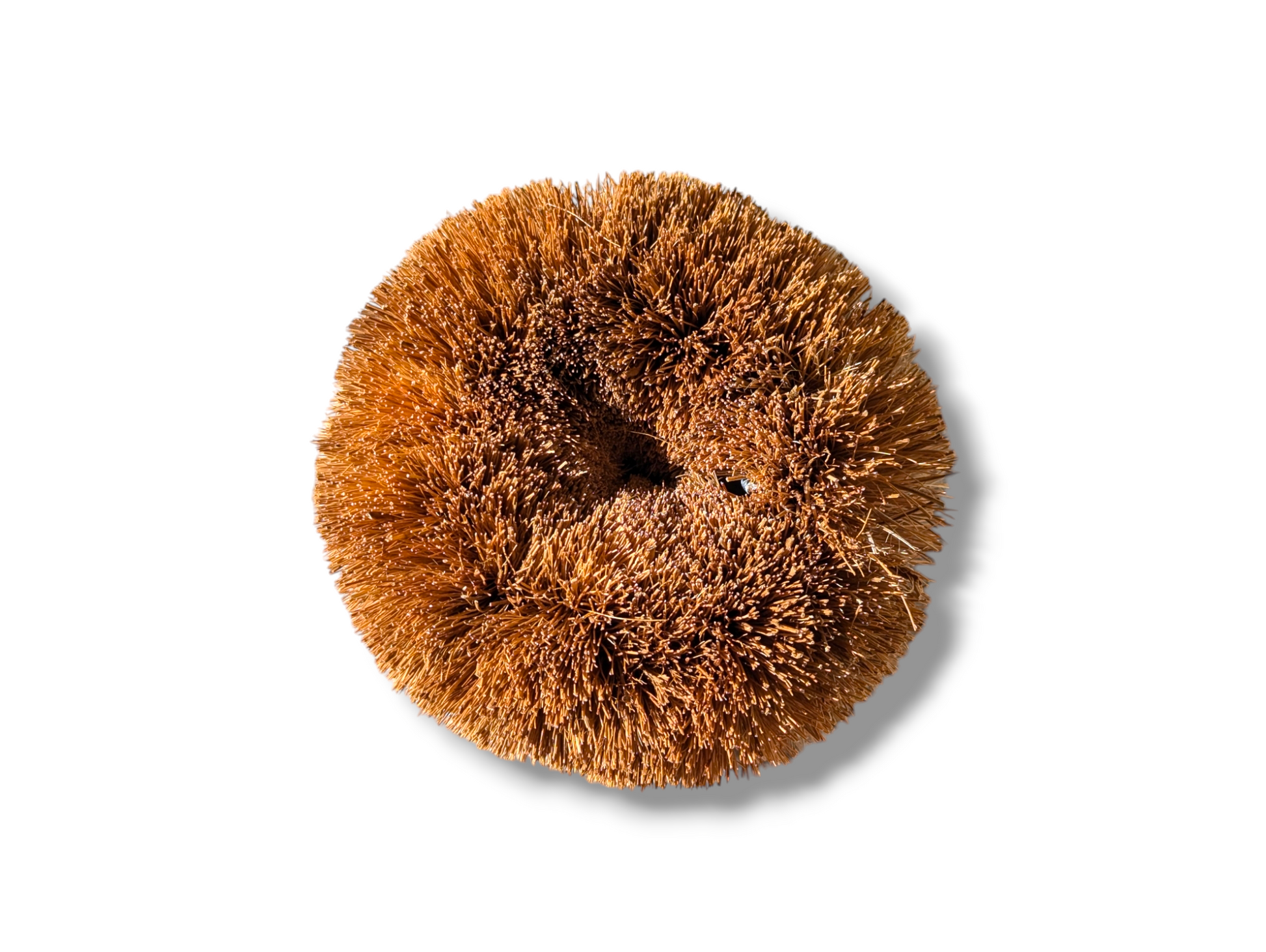 Hedgehog Coconut Scourer | Biodegradable Reusable Washing Up Scourer-0