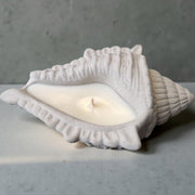 Conch Candle – Amber & Rock Salt-4