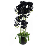 Large Black Orchid Plant - Artifcial - 41 REAL TOUCH flowers-0