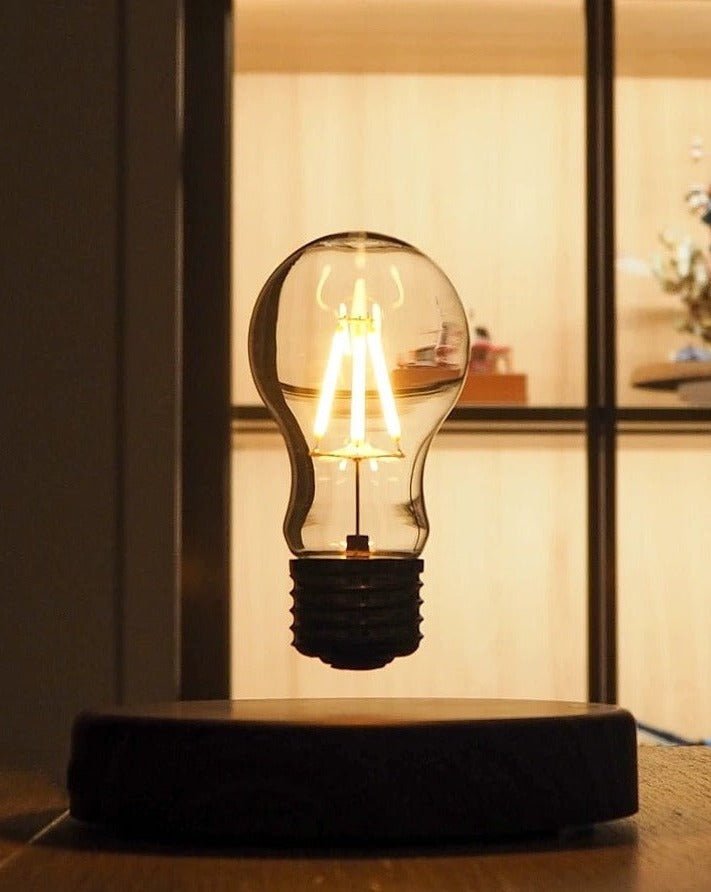 Floating Bulb Lamp-0