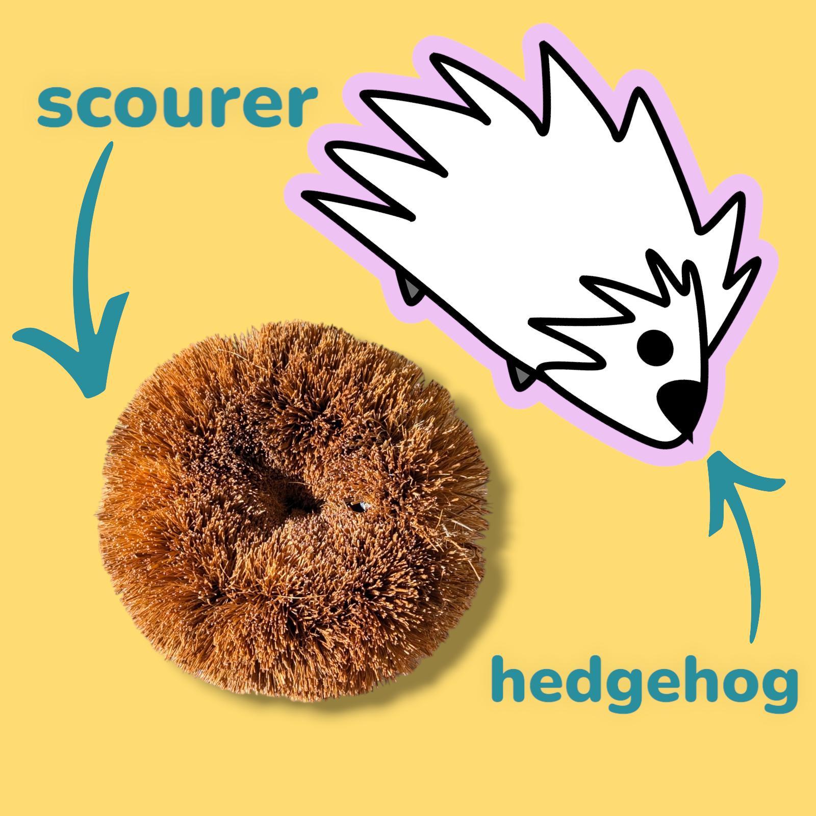 Hedgehog Coconut Scourer | Biodegradable Reusable Washing Up Scourer-1