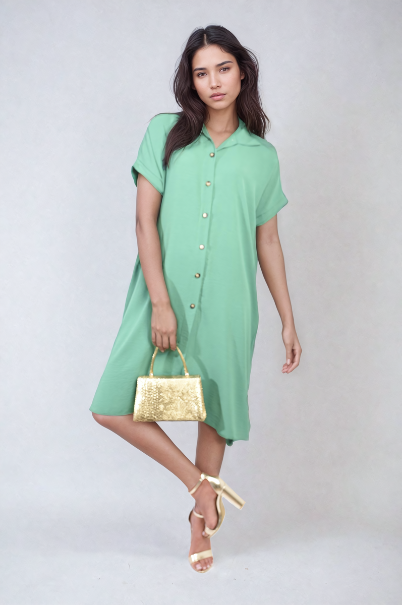 Button Front Shirt Dress-6