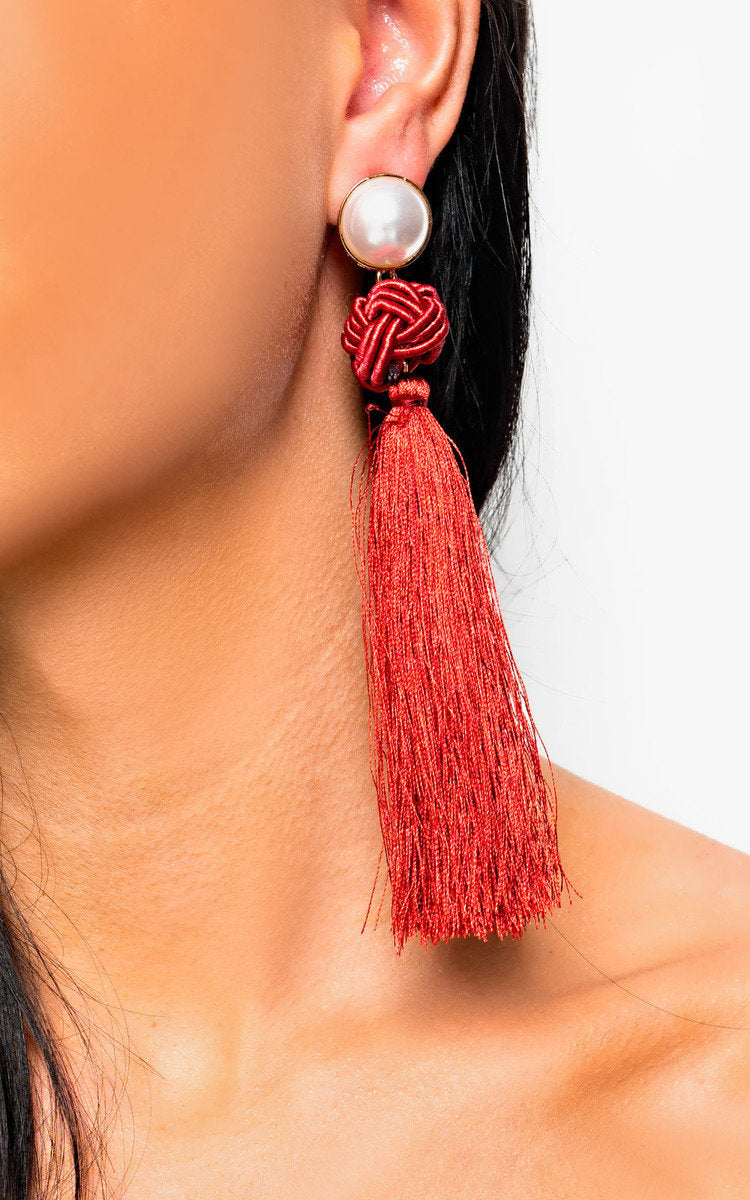 Tassel Drop Earrings-0