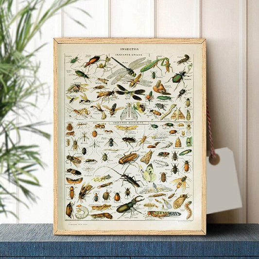 Poster Insekten Schmetterlinge Champignons und Blumen als Deko Print ohne Rahmen-0