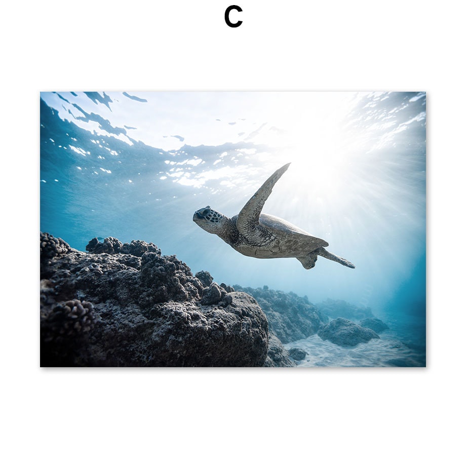 Poster Unterwasser Welt Taucher Schildkröte I Wandbilder Wohnzimmer & Schlafzimmer I Deko Print Bilder I ohne Rahmen-4