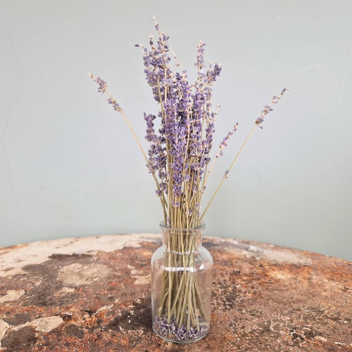 Natural Dried Small French Lavender Bunch-1