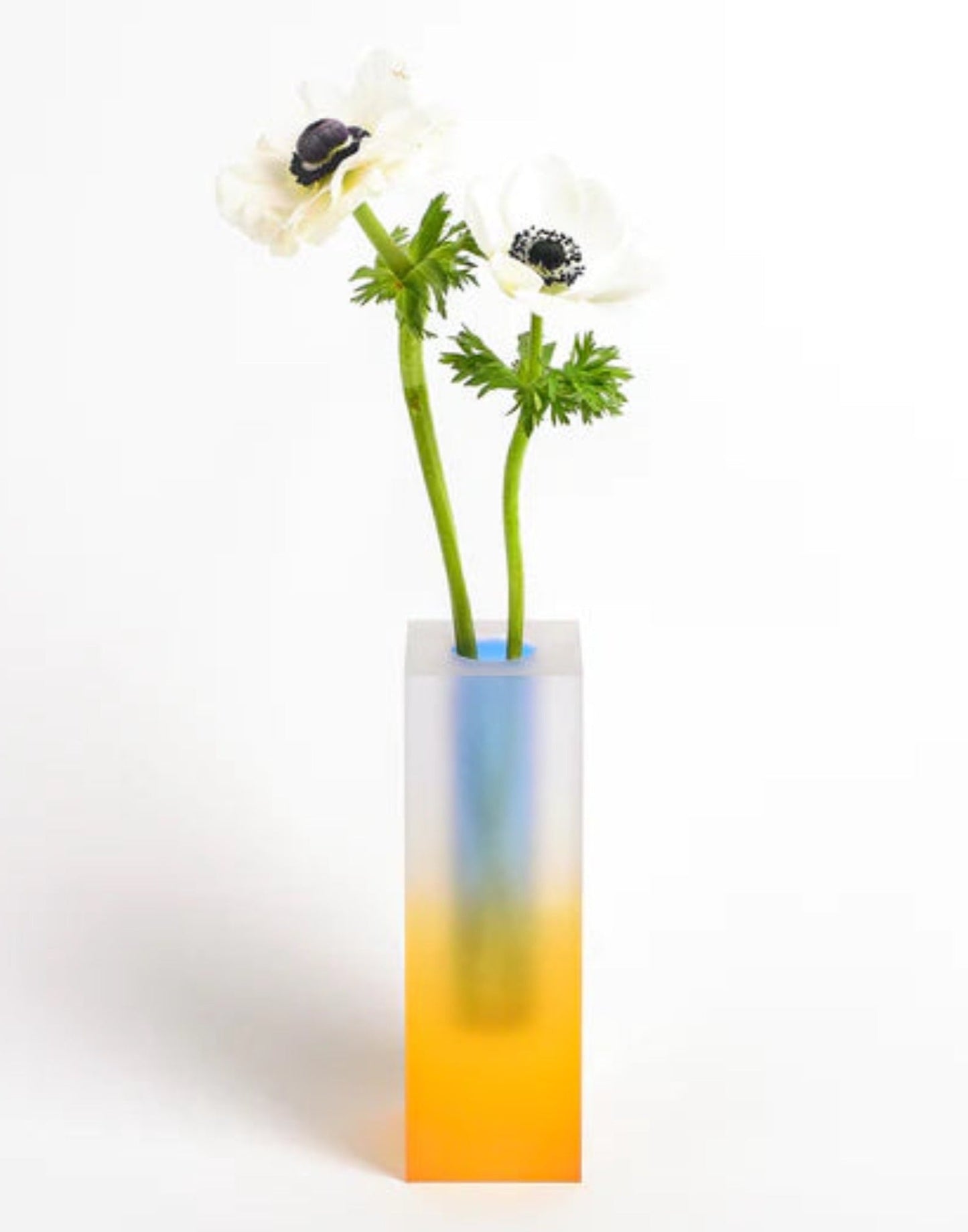 Iridescence Vase - Modern Whimsical Eclectic Decorative Table Setting Centerpiece Vase-6