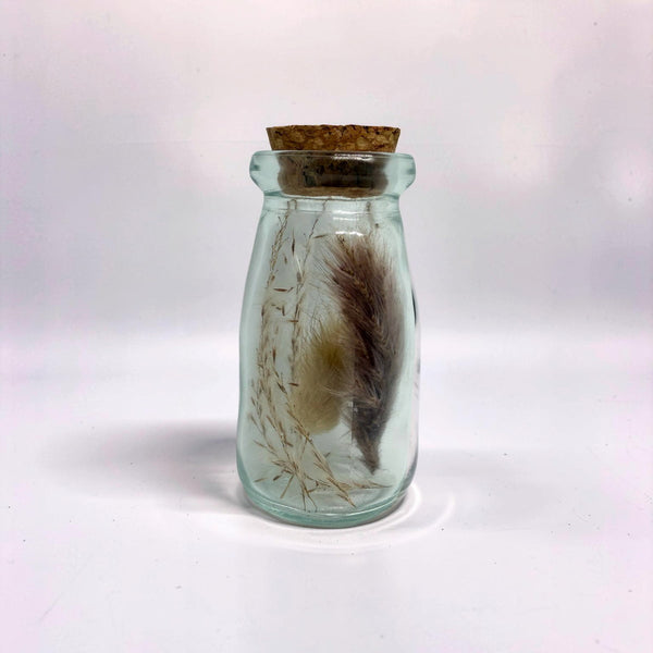 Pampas Apothecary Bottle-0