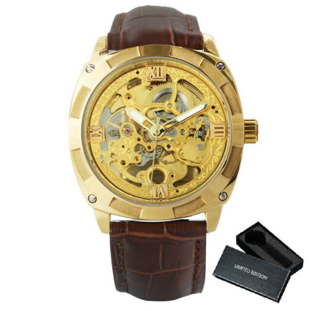 Men Watches Luxury Brand Design Automatic Watch Men Transparent Skeleton Mechanical Wrist Watch Leather Strap-4