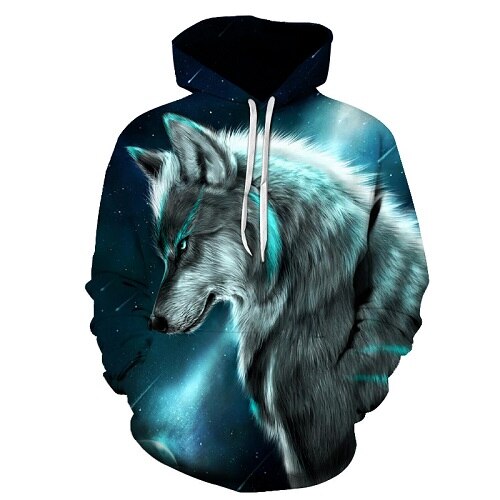 Native 3D Hoodies Men / Women-13