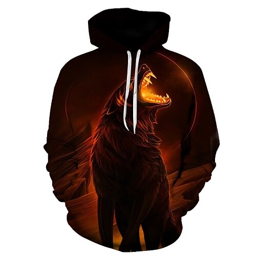 Native 3D Hoodies Men / Women-15