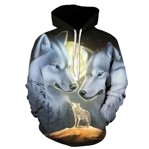 Native 3D Hoodies Men / Women-16